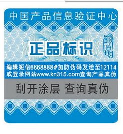 信息系統(tǒng)集成服務(wù) 構(gòu)建智慧未來(lái)的橋梁